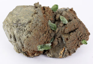 Ludlamite with Pyrite, Bolivia, Cabinet-Sized Specimen